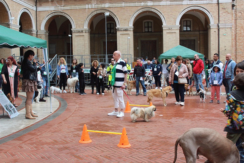 “Quattro zampe alla riscossa” – IV. Edizione – Domenica 18 maggio 2025 dalle ore 16.00 in Piazza a Recanati.