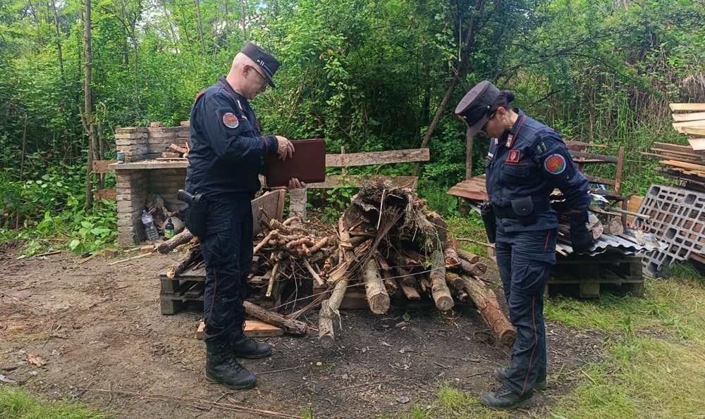 Forestali in azione ad Osimo e Monte Roberto contro il degrado delle periferie e dell’ambiente rurale