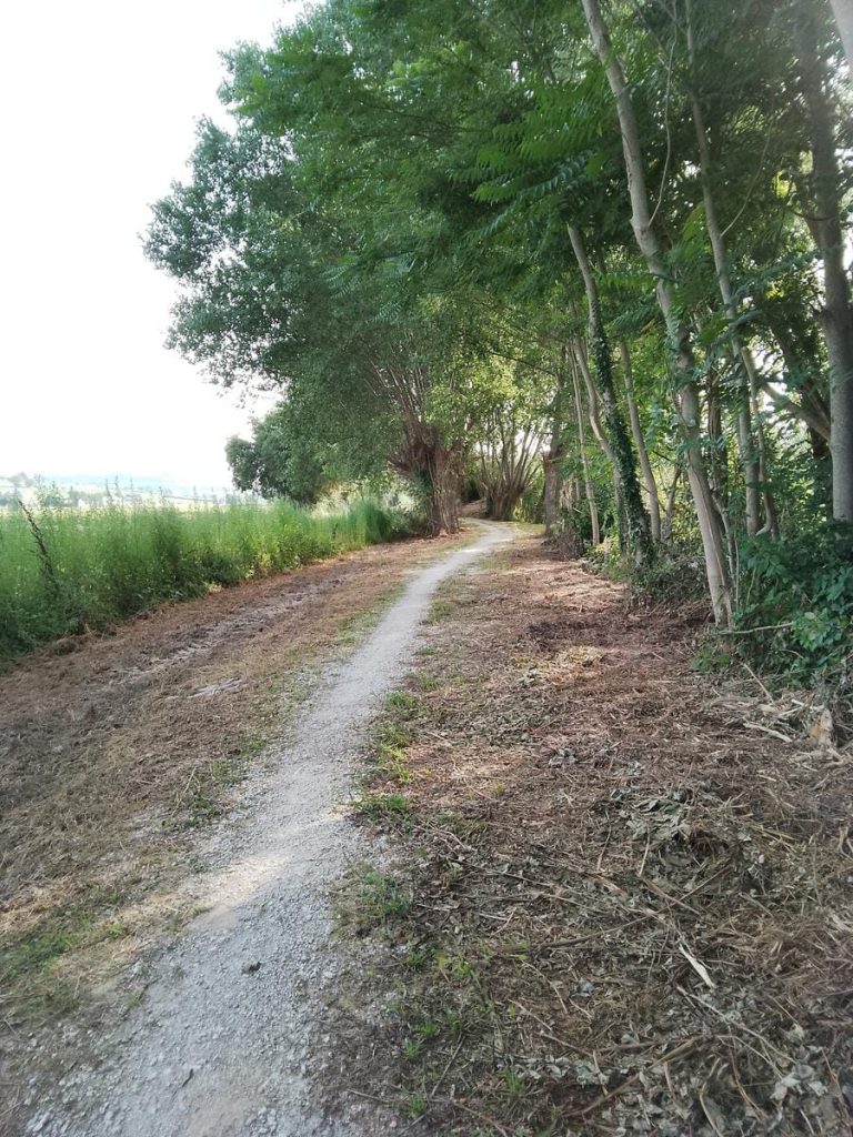 Recanati. Pista ciclabile lungo il Potenza: nuovi disagi per lavori urgenti, riemergono le criticità