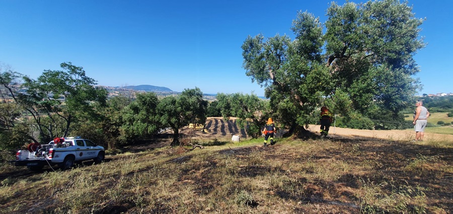 Recanati. Vasto incendio a Castelnuovo. In azione la Protezione Civile cittadina