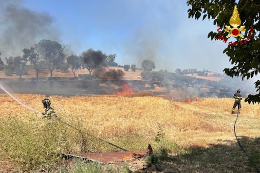 Incendio in un campo di grano in contrada Mattonata: danni a diversi ettari, salvata un’abitazione