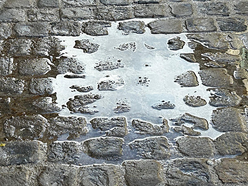 Le Paludi di Piazza Bracaccini a Montefano
