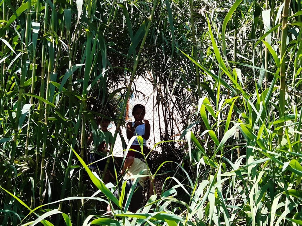 Recanati. Centro Fonti San Lorenzo chiede al Comune la gestione del parco “Fonti sud”