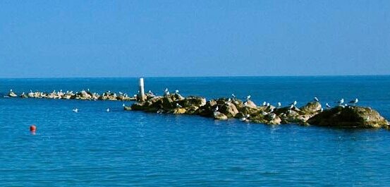 “Porto Recanati dimenticata mentre a Potenza Picena piovono milioni”: l’accusa di Andrea Marinelli