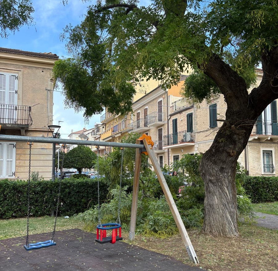 Porto Recanati, a causa del forte vento un ramo cade al giardinetto di piazza Carradori: nessun ferito