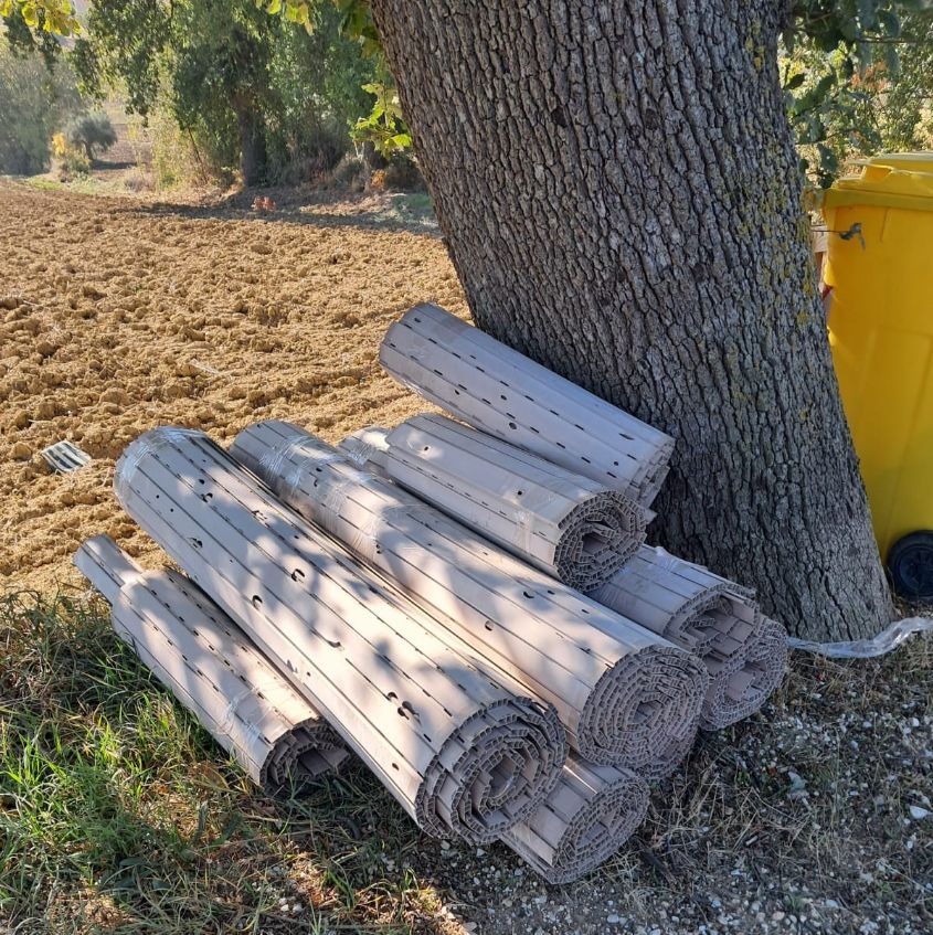 Rifiuti abbandonati sotto una quercia secolare in Contrada S. Pietro: la rabbia dei residenti