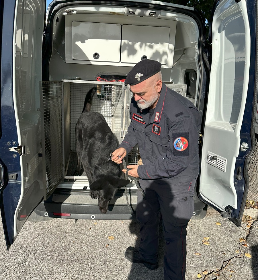 Controlli dei Carabinieri nei pressi degli istituti scolastici della Compagnia di Macerata