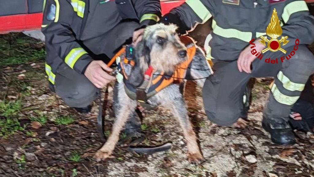 I Vigili del Fuoco oggi