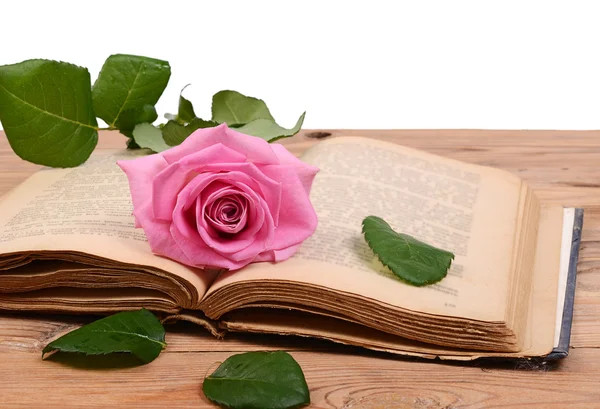 Recanati. Un incontro per i più piccoli ed un fiore in omaggio per i lettori della Piccola Libreria delle Marche