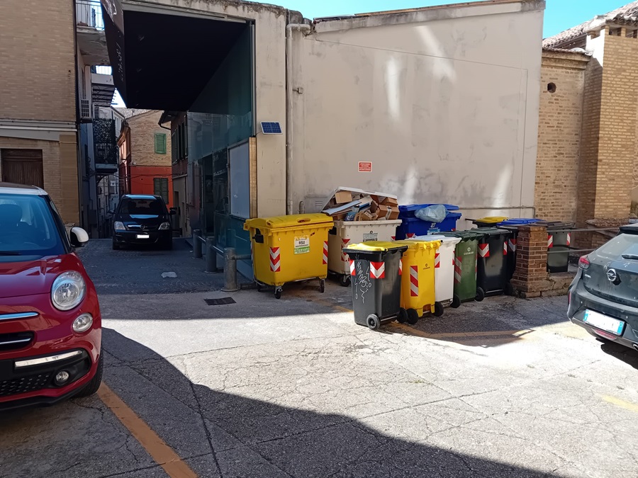 Recanati. Allarme ratti nel centro storico: «Li troviamo perfino sui terrazzi al terzo piano»