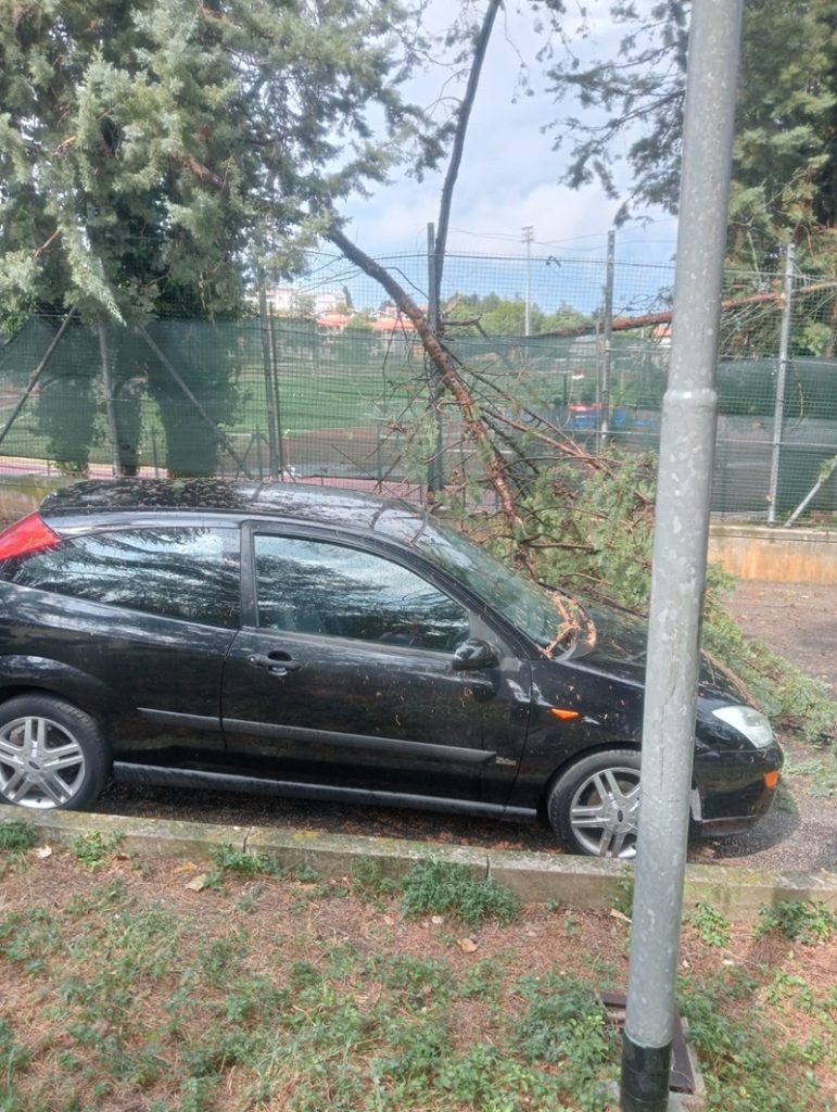 Raffiche di vento su Recanati: alberi e rami caduti, cittadini in aiuto per liberare le strade