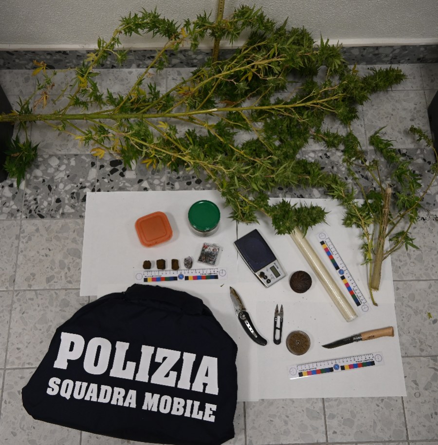 Macerata, appartamento usato per lo spaccio: sequestrato un chilo di marijuana, arrestato un uomo